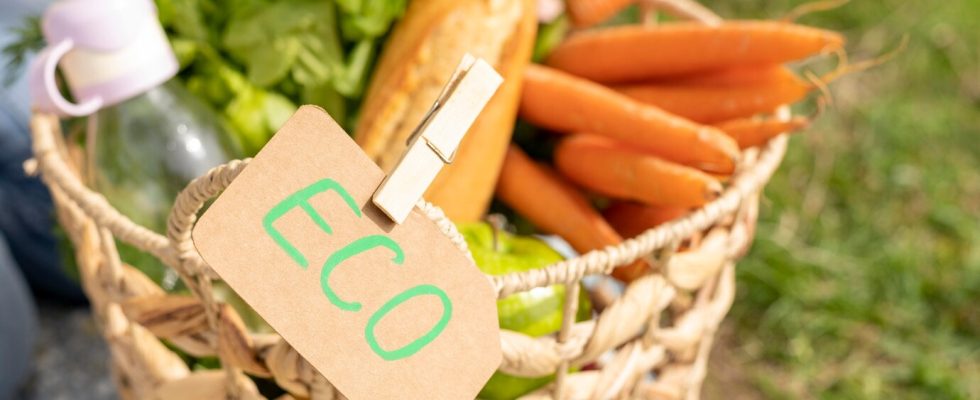 ALIMENTATION-BIO
