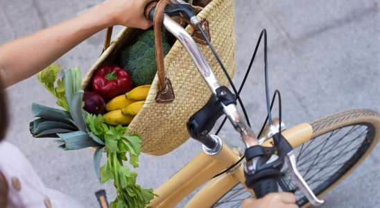 Éco-shopping : comment faire ses achats de manière écologique ?