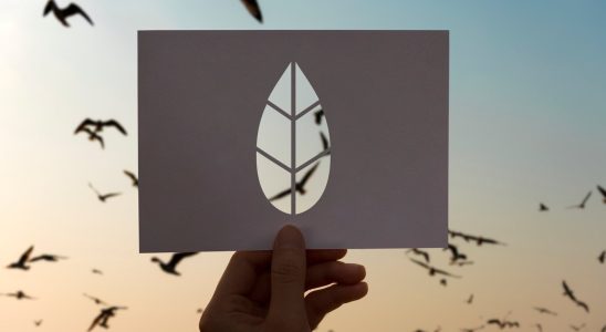 Les essentiels à savoir sur votre empreinte carbone