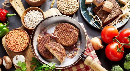 alternatives délicieuses à la viande
