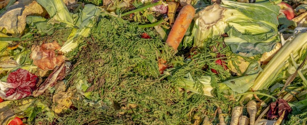 découvrez le compostage, une solution écologique pour transformer vos déchets organiques en engrais naturel. apprenez les étapes, les astuces et les avantages du compost pour un jardin sain et respectueux de l’environnement.