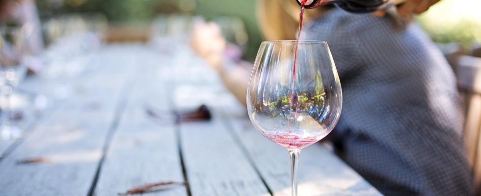 découvrez l'art de la dégustation de vin : conseils, techniques et astuces pour apprécier pleinement chaque verre, que vous soyez amateur ou connaisseur.