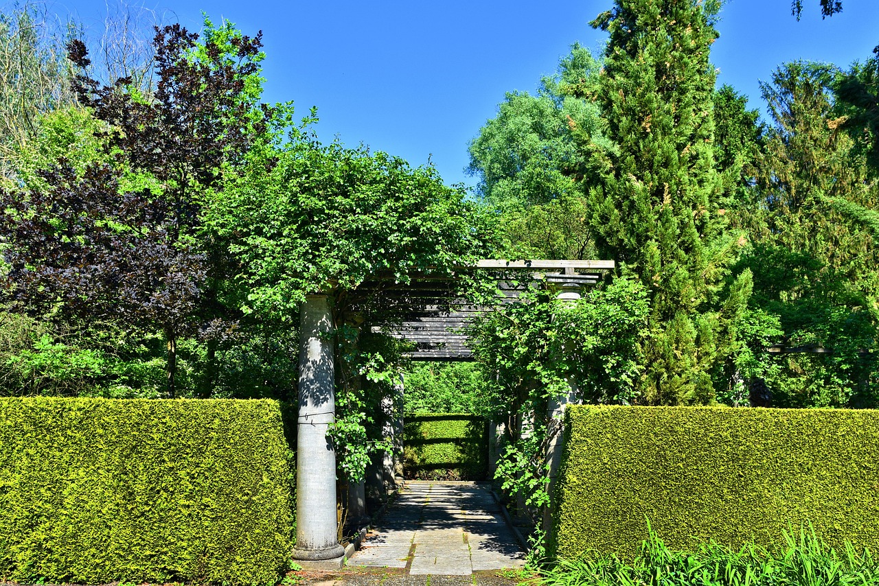 service professionnel de taille de haies pour un jardin soigné et esthétique. entretien efficace et conseils personnalisés pour vos haies.