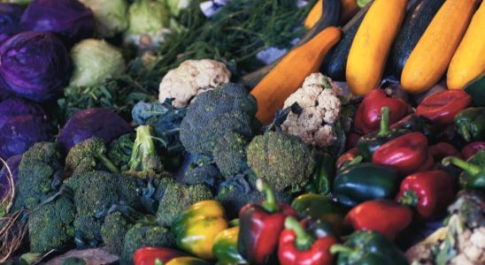 l’alimentation