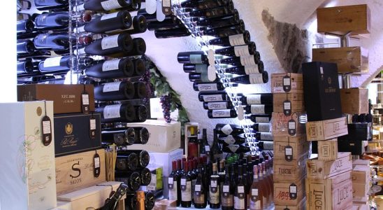 découvrez notre visite de cave à vin et explorez une sélection exceptionnelle de crus rares et prestigieux, pour une expérience œnologique unique.
