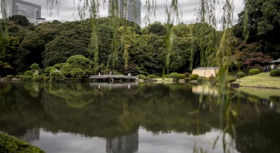 parcs biodiverse city-friendly