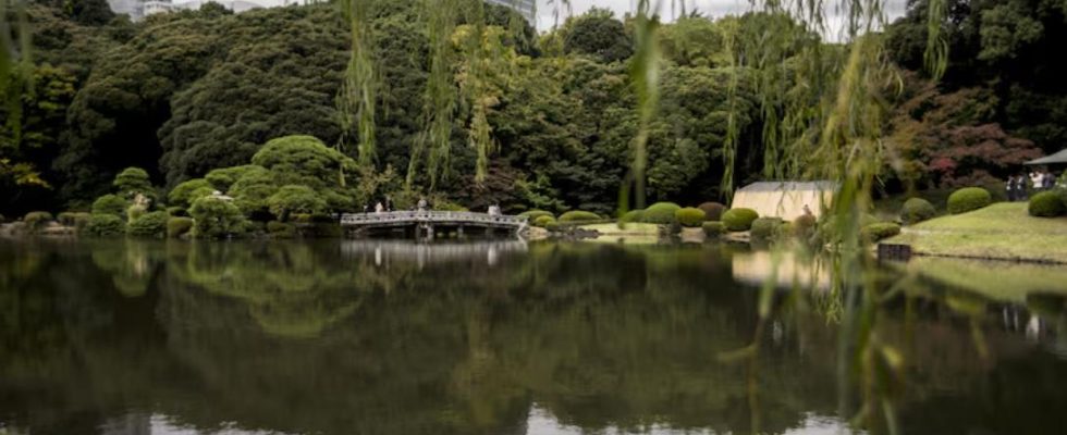 parcs biodiverse city-friendly
