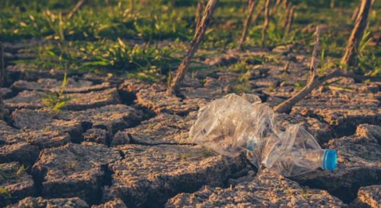 sols contaminés