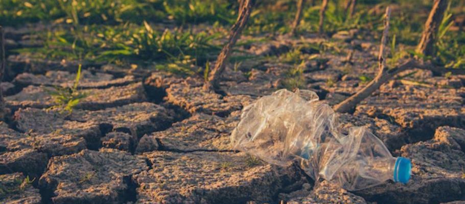 sols contaminés
