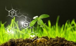 Agroécologie & biodiversité