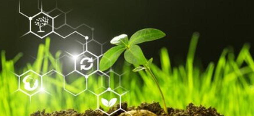 Agroécologie & biodiversité