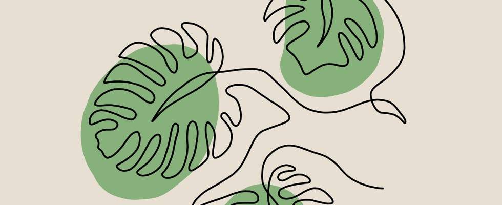 découvrez le minimalisme : un art de vivre axé sur la simplicité, l'essentiel et le bien-être, pour une vie plus légère et organisée.