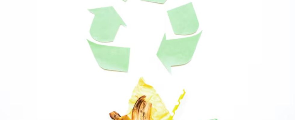 réduction des déchets