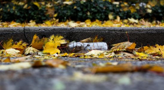 découvrez des astuces et conseils pratiques pour adopter un mode de vie zéro déchet, réduire votre impact environnemental et préserver la planète au quotidien.