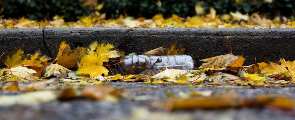découvrez des astuces et conseils pratiques pour adopter un mode de vie zéro déchet, réduire votre impact environnemental et préserver la planète au quotidien.