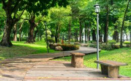 parc urbain