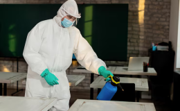 Traitement antiparasitaire régulier pour garantir la propreté des lieux