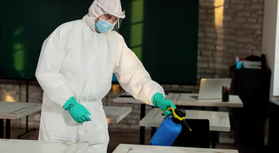 Traitement antiparasitaire régulier pour garantir la propreté des lieux