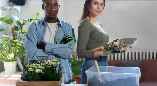 Consommation d'eau réduite_l'argument écologique de la vapeur sèche
