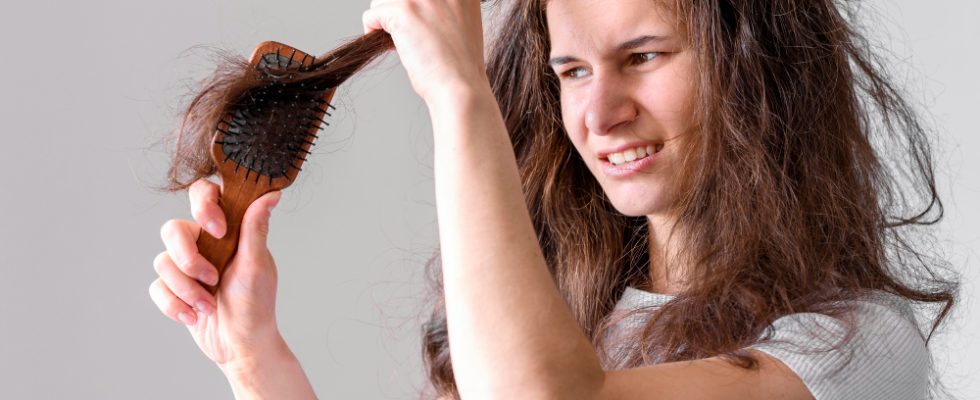 chute des cheveux