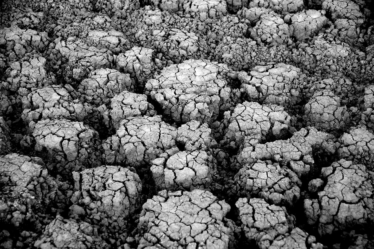 découvrez les stratégies d’adaptation au changement climatique pour renforcer la résilience des communautés et protéger les écosystèmes.