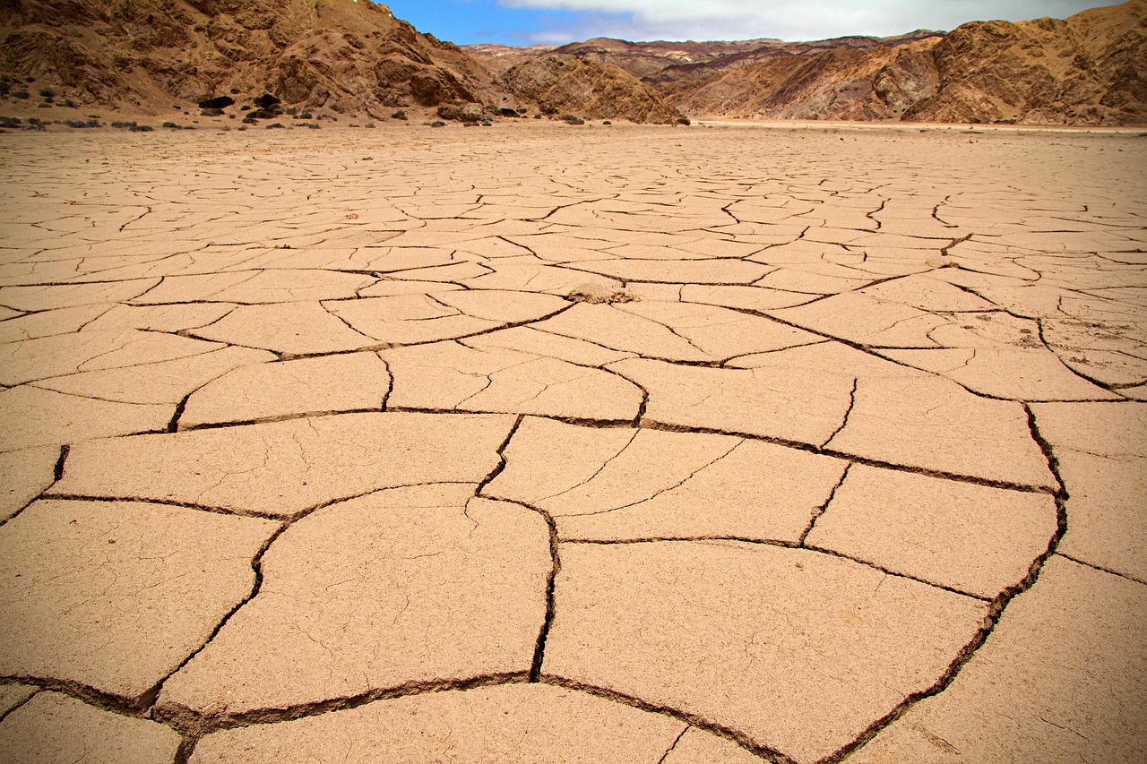 découvrez les enjeux de la justice climatique, ses liens avec les inégalités sociales et les solutions pour une transition écologique plus équitable.