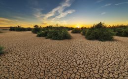 découvrez les enjeux de la justice climatique : inégalités face au changement climatique, droits des populations et solutions pour un avenir plus équitable.