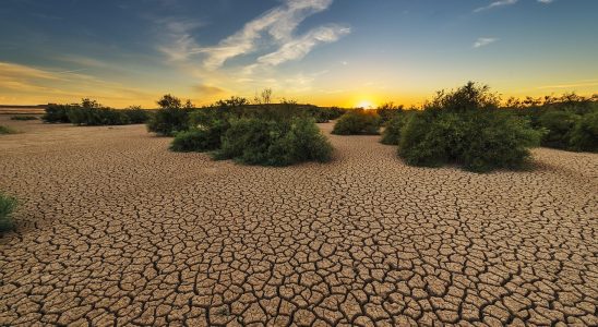 découvrez les enjeux de la justice climatique : inégalités face au changement climatique, droits des populations et solutions pour un avenir plus équitable.