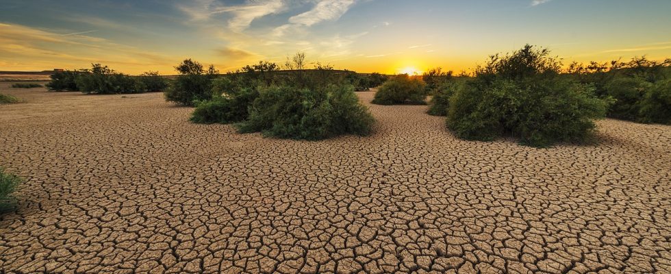 découvrez les enjeux de la justice climatique : inégalités face au changement climatique, droits des populations et solutions pour un avenir plus équitable.