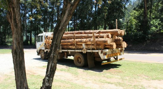 Transport de bois lourds