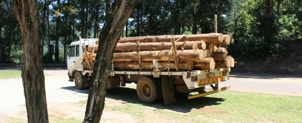 Transport de bois lourds